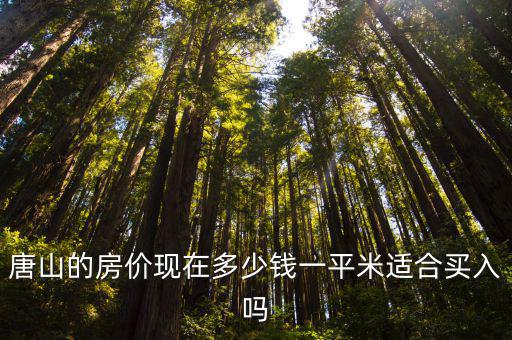 唐山的房價現(xiàn)在多少錢一平米適合買入嗎