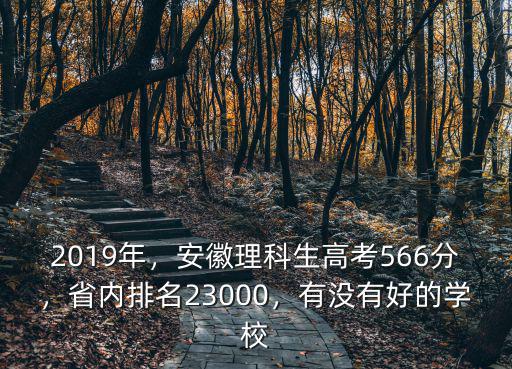 2019安徽理科463分省排名多少,省內排名23000