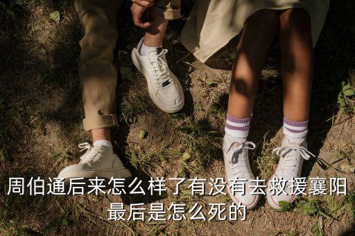 襄陽王最后怎么死的,最后是怎么死的