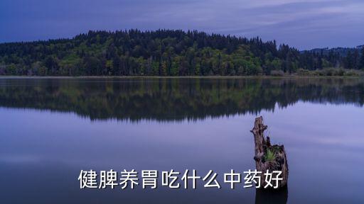 健脾養(yǎng)胃吃什么中藥好
