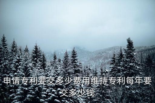 唐山專利費用多少,申請專利要交多少費用