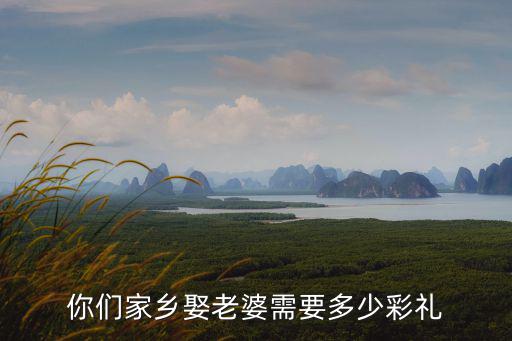 河北石家莊娶老婆要多少彩禮,你們家鄉娶老婆需要多少彩禮
