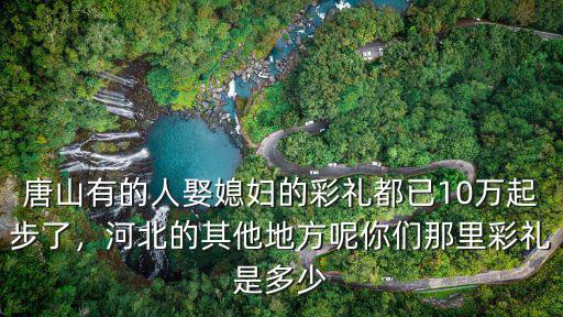 唐山有的人娶媳婦的彩禮都已10萬起步了，河北的其他地方呢你們那里彩禮是多少