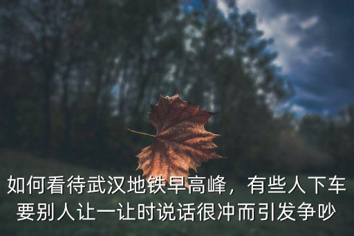 如何看待武漢地鐵早高峰，有些人下車要別人讓一讓時說話很沖而引發爭吵