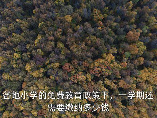 安徽省小學一年級學費多少錢,一學期還需要繳納多少錢