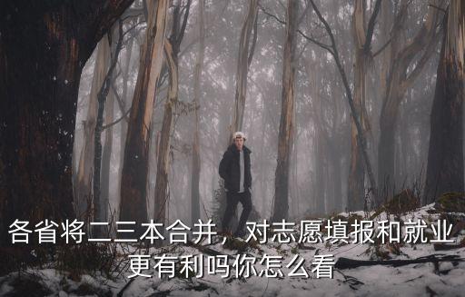 各省將二三本合并，對志愿填報和就業更有利嗎你怎么看