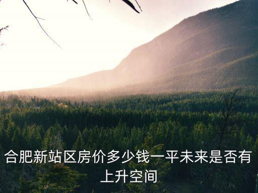 合肥傳有片區房價多少錢,合肥房價會多少錢一平