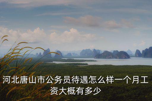 考唐山公務員多少分可以上岸,鄉鎮公務員一般多少分進面