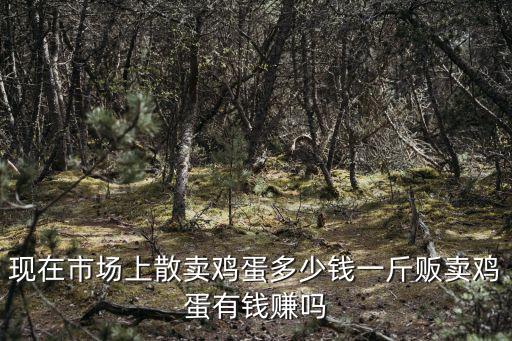 現(xiàn)在市場上散賣雞蛋多少錢一斤販賣雞蛋有錢賺嗎