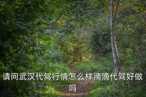武漢做滴滴代駕收入怎么樣,做滴滴代駕的收入怎么樣