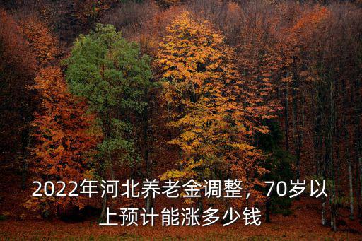 河北省基本養(yǎng)老金多少錢,河北養(yǎng)老金上調多少