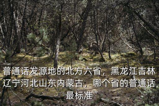 普通話發源地的北方六省，黑龍江吉林遼寧河北山東內蒙古，哪個省的普通話最標準
