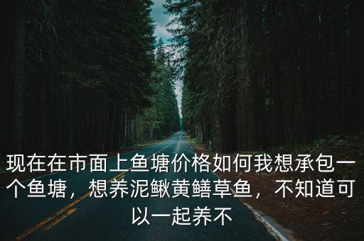 現在在市面上魚塘價格如何我想承包一個魚塘，想養泥鰍黃鱔草魚，不知道可以一起養不
