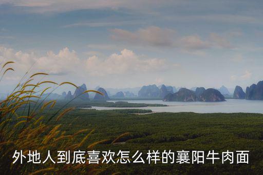 外地人到底喜歡怎么樣的襄陽牛肉面