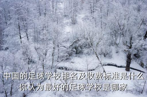 中國的足球?qū)W校排名及收費(fèi)標(biāo)準(zhǔn)是什么你認(rèn)為最好的足球?qū)W校是哪家