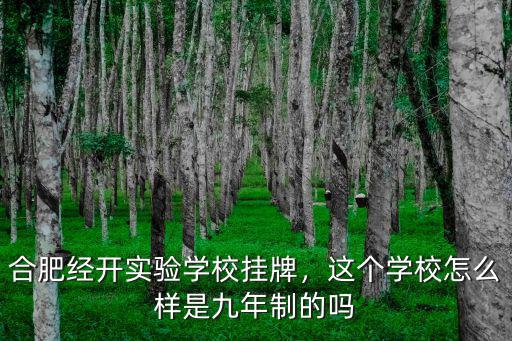 合肥經開實驗小學電話是多少,合肥經開實驗學校掛牌
