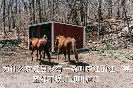 為什么廬江縣沒有一條叫廬江的江，甚至都不挨江卻叫廬江