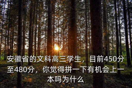 安徽省的文科高三學(xué)生，目前450分至480分，你覺得拼一下有機(jī)會(huì)上一本嗎為什么