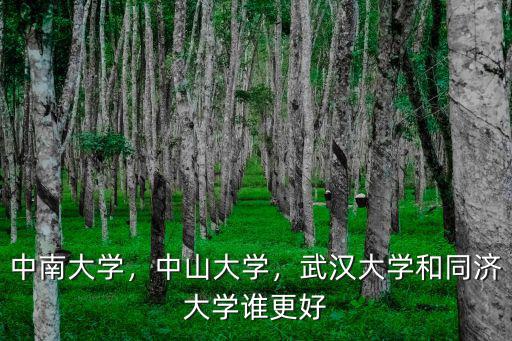 湖北同濟大學怎么樣,同濟大學怎么樣