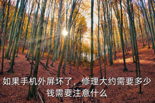 合肥哪里可以修手機外屏多少錢,如果手機外屏壞了