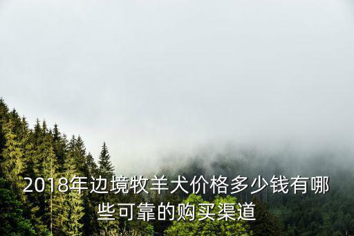 2018年邊境牧羊犬價格多少錢有哪些可靠的購買渠道