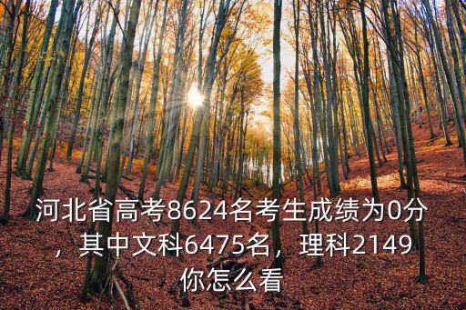 河北省高考考多少名,今年河北高考最高分多少