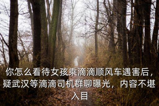 你怎么看待女孩乘滴滴順風車遇害后，疑武漢等滴滴司機群聊曝光，內容不堪入目