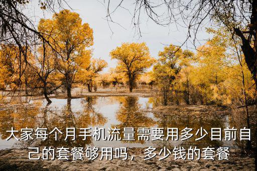 邯鄲電信不限量流量最低多少錢,電信。哪家的流量便宜不限速