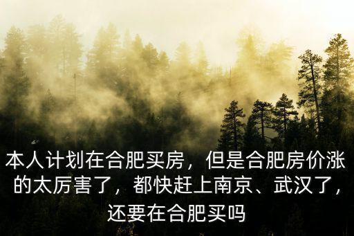 本人計劃在合肥買房，但是合肥房價漲的太厲害了，都快趕上南京、武漢了，還要在合肥買嗎