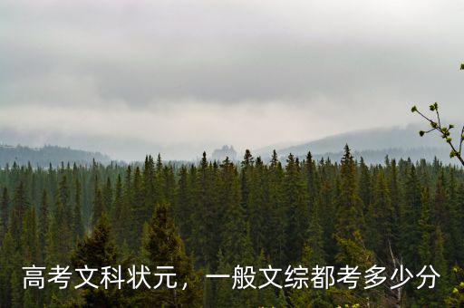 安徽省宿州高考狀元考多少分,一般文綜都考多少分