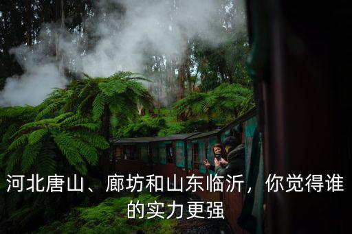 河北唐山、廊坊和山東臨沂，你覺得誰的實力更強
