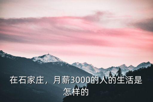 石家莊的一個(gè)人有多少錢,石家莊大部分人工資是多少