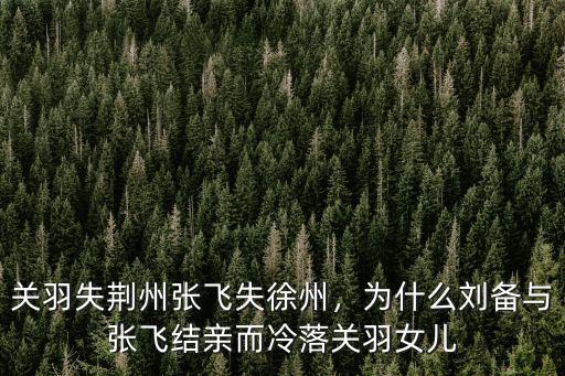 張飛失荊州會怎么樣,關羽失荊州張飛失徐州