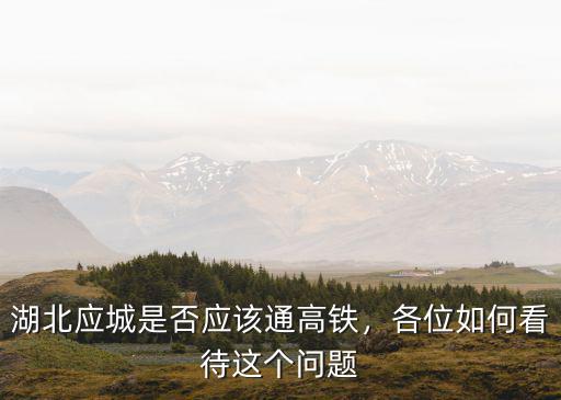 湖北應城是否應該通高鐵，各位如何看待這個問題