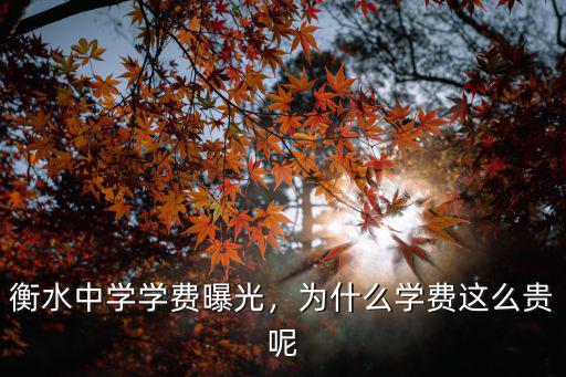 河北寧晉中學學費怎么收是多少,衡水中學學費曝光
