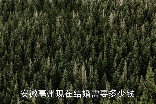 亳州結(jié)婚彩禮是多少,一般要多少彩禮