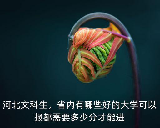 河北金融?？埔嗌俜?河北金融學院怎么樣