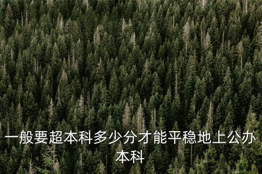 安徽的本科要多少分,安徽美術統考成績272分