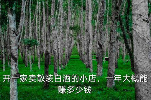 蚌埠開一家小店一年能掙多少錢,一年能賺多少錢