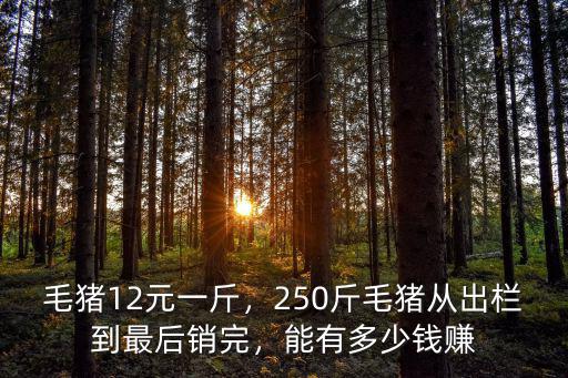 邯鄲成安毛豬多少錢,現在育肥豬成本價是多少錢