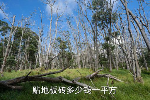 蕪湖瓦工鋪地磁磚多少錢一平方,貼磚多少錢一平方