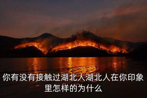 你有沒有接觸過湖北人湖北人在你印象里怎樣的為什么