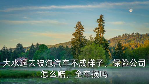 大水退去被泡汽車不成樣子，保險公司怎么賠，全車損嗎