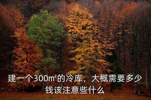 建一個300㎡的冷庫，大概需要多少錢該注意些什么