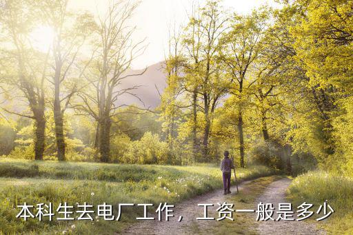 本科生去電廠工作，工資一般是多少