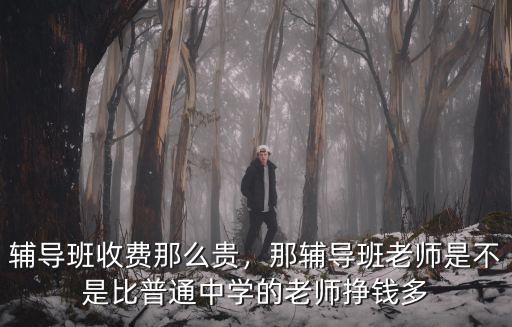 安陽周老師輔導班教數學怎么樣,小數點數學補習班怎么樣