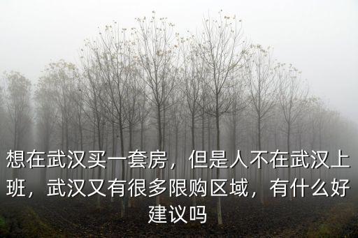 ?G門人在武漢買房怎么買,如果在武漢買房