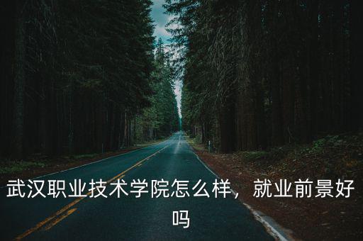武漢船舶學院就業怎么樣,武漢職業技術學院怎么樣
