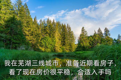 蕪湖鏡湖區新房價多少,蕪湖房價會多少錢一平