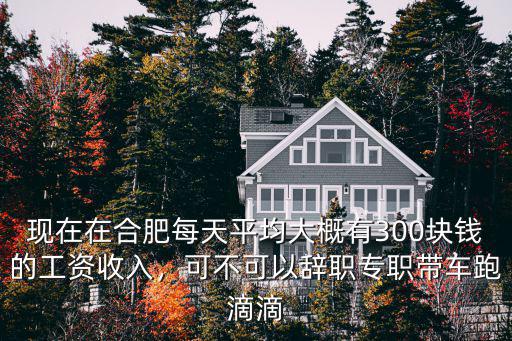 現(xiàn)在在合肥每天平均大概有300塊錢的工資收入，可不可以辭職專職帶車跑滴滴
